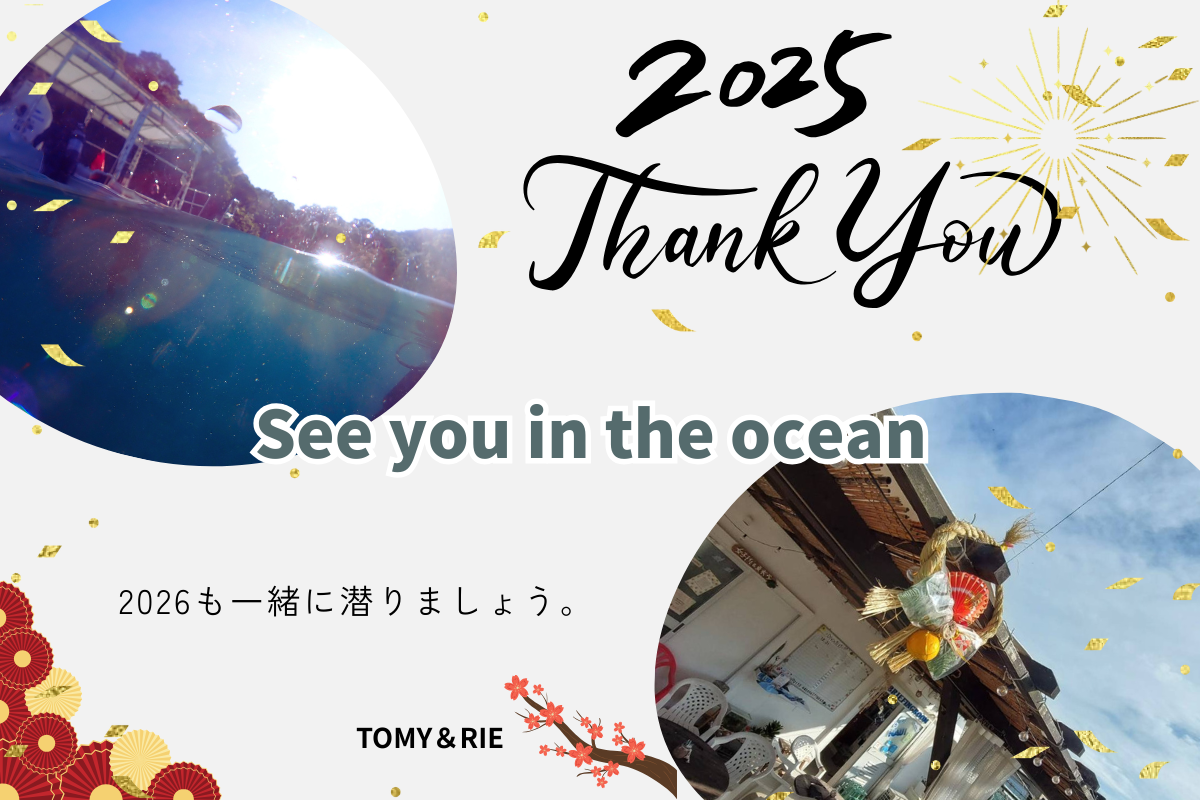 熊本県天草・牛深の海でダイバーが潜る水中風景。2025年の感謝を込めたBlue Earth 21 くまもとの年末ダイビングシーン