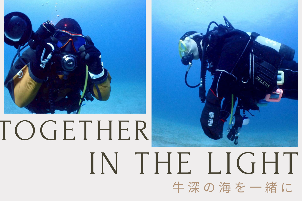 Winter Diving with Our Guests in USHIBUKA